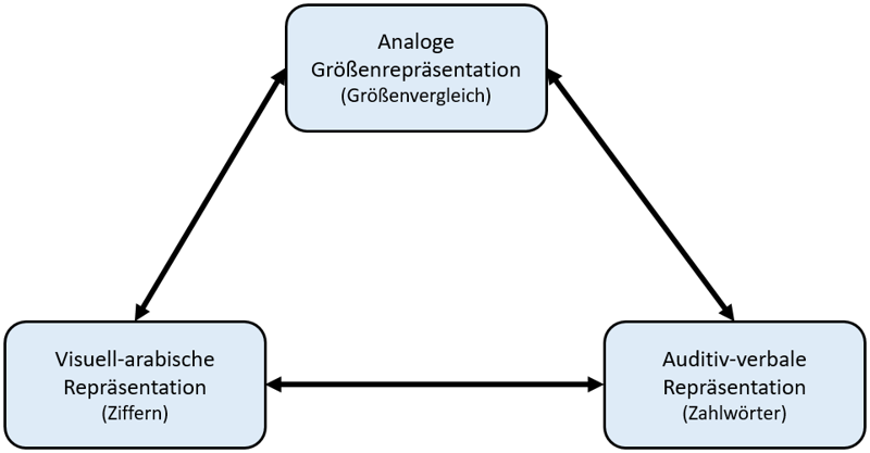 Die Abbildung zeigt das Triple-Code-Modell nach Dehaene als schematische Darstellung. Es sind die drei Repräsentationssysteme des Modells als drei Rechtecke mit Beschriftung dargestellt, die durch Doppelpfeile verbunden sind.