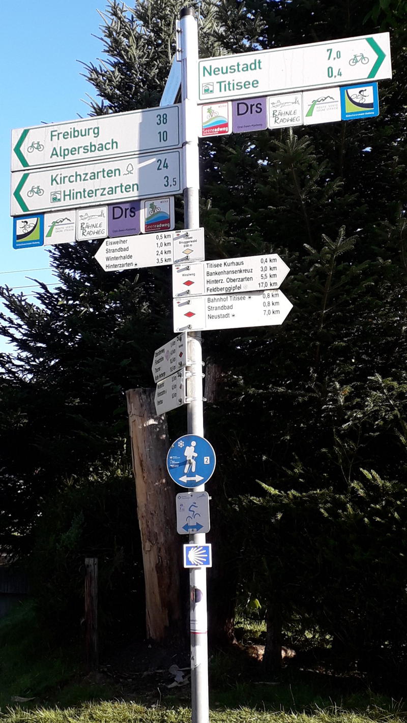 Das Bild wurde nicht auf der Wanderung mit den Schülerinnen und Schülern aufgenommen, sondern auf einem gemeinsamen Wander- und Radweg in Titisee. Es zeigt symbolisch die unterschiedlichen visuellen Informationen auf, die zur Orientierung auf Wanderwegen zur Verfügung stehen können. Zu sehen sind an die 20 sehr unterschiedlich gestaltete Wegweiser und Symbolschilder.