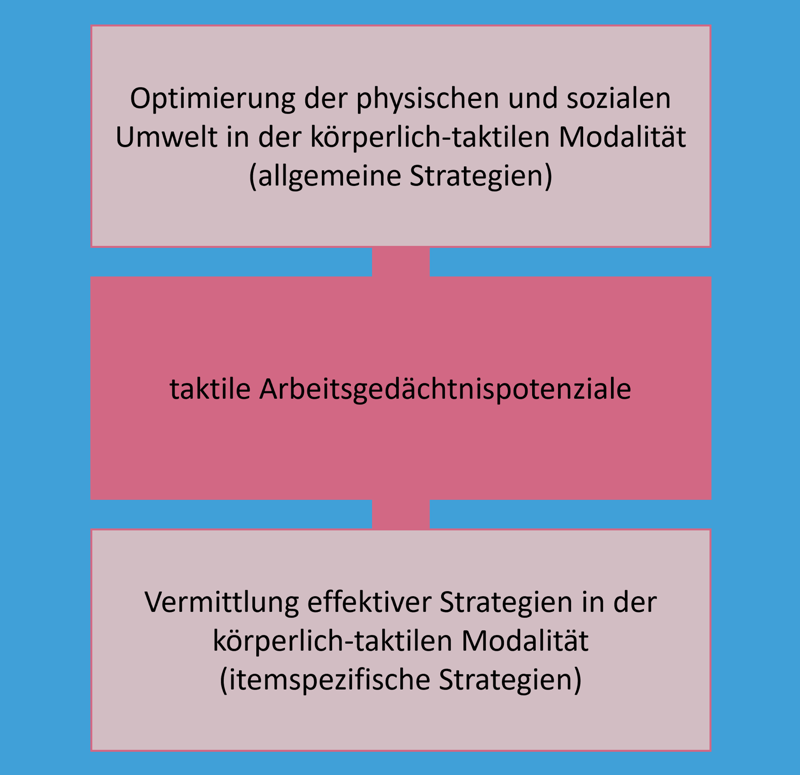 Die schematische Darstellung zeigt drei vertikal angeordnete Rechtecke, mit zwei Linien verbunden. Das mittig platzierte Rechteck „taktile Arbeitsgedächtnispotenziale“ hebt sich farblich von den anderen beiden Rechtecken ab. Das obere Rechteck ist wie folgt beschriftet: „Optimierung der physischen und sozialen Umwelt in der körperlich-taktilen Modalität (allgemeine Strategien)“. Im unteren Rechteck steht „Vermittlung effektiver Strategien in der körperlich-taktilen Modalität (itemspezifische Strategien)“.