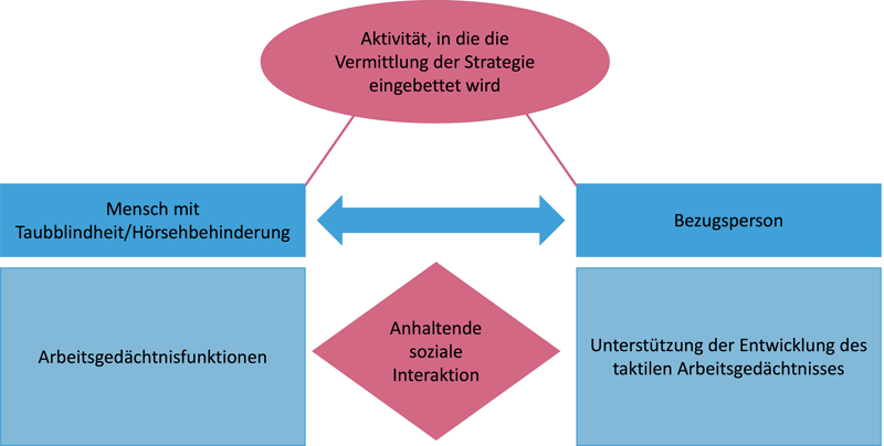 In der schematischen Darstellung sind zwei Rechtecke mit einem doppelten Pfeil verbunden. Darüber befindet sich eine Ellipse, die durch Striche mit den beiden Rechtecken verbunden ist. Unter den Rechtecken sind jeweils zwei Rechtecke, dazwischen ist ein Trapez. Die Ellipse und das Trapez heben sich farblich von den vier Rechtecken ab. Das Trapez verbindet die beiden Rechtecke, stellt auf diese Weise eine Beziehung her und trägt die Beschriftung „Anhaltende soziale Interaktion“. Die beiden Rechtecke, die mit dem doppelten Pfeil verbunden sind, sind mit „MmTb/Hs“ und „Bezugsperson“ beschriftet. Die darüber befindliche Ellipse ist mit folgender Beschriftung versehen: „Aktivität, die die Vermittlung eingebunden wird“. Das Rechteck unter dem Rechteck „MmTb/Hs“ ist mit „Arbeitsgedächtnisfunktionen“, das unter dem Rechteck „Bezugsperson“ ist mit „Unterstützung der Entwicklung des taktilen Arbeitsgedächtnisses“ beschriftet.