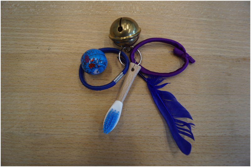 Auf einer hellbraunen ebenen Holzoberfläche liegt das taktile Bezugsobjekt der multisensorischen Einschätzung. In der Mitte ist ein kleiner silberner Schlüsselring zu sehen, an dem fünf Gegenstände angehängt sind (im Uhrzeigersinn): Eine goldene Schelle, ein violetter Haargummi, eine blaue Feder, eine kleine Holzzahnbürste, ein blauer Haargummi mit einer daran befestigten kleinen, farbigen Weltkugel.