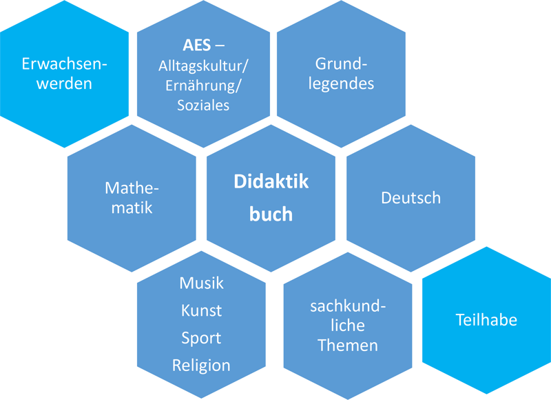 Schematische Zeichnung zum Aufbau des Didaktikbuches, bestehend aus 9 sechseckigen blauen Waben mit folgenden Aufschriften: In der Mitte „Didaktikbuch“, umgeben von den Waben (beginnend schräg rechts oben im Uhrzeigersinn) „Grundlegendes“, „Deutsch“, „sachkundliche Themen“, „Musik, Kunst, Sport, Religion“, „Mathematik“ und „AES – Alltagskultur – Ernährung – Soziales“. Ergänzt wird das Schaubild links oben durch die Wabe mit der Aufschrift „Erwachsenwerden“ und links unten durch die Wabe mit der Aufschrift „Teilhabe“.