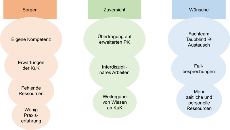 Schematische Darstellung der Gedanken der Teilnehmenden hinsichtlich zukünftiger Aufgaben. Unterteilt in die Bereiche „Sorgen“ (orange), „Zuversicht“ (grün) und „Wünsche“ (blau).